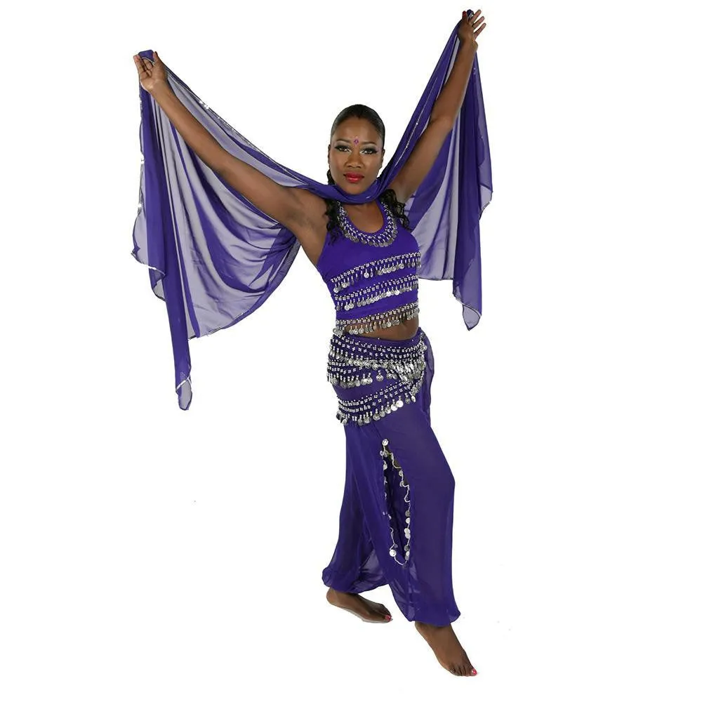 Belly Dance Chiffon Harem Pants, Top, Hip Scarf & Veil Costume Set | FESTIVAL FLAIR